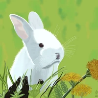 Jerome MASSOT's profile picture