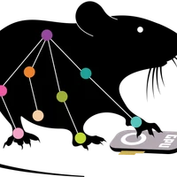 DeepLabCut's profile picture