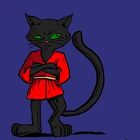 kapllan's profile picture