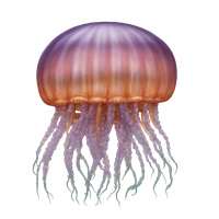 Pedro Dias's profile picture