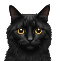 Chen Cen's profile picture