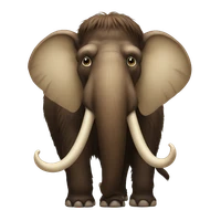 liuchang's profile picture