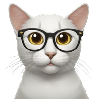 Megan Keough's profile picture