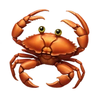 Zane Beckwith's profile picture