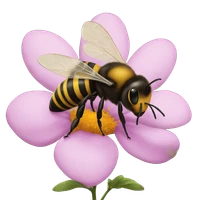 Lukas Bu's profile picture