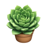 Andrew Lee's profile picture