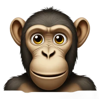 Yangzida's profile picture