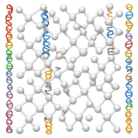 Cameron Glasscock's profile picture