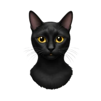 Charlotte DELBOSC's profile picture