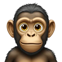 Adrian Pass's profile picture