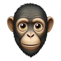 Sinisa Stekovic's profile picture