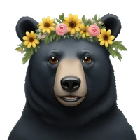 Kate Huddleston's profile picture