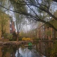 SIJ's profile picture