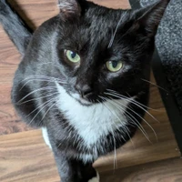 Sam Yap's profile picture